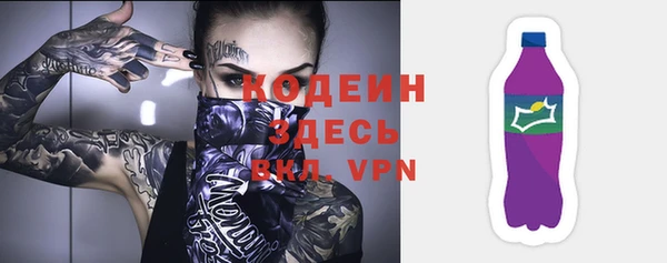 apvp Чердынь