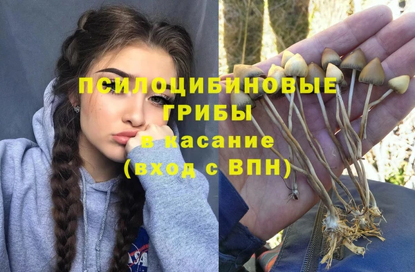 apvp Чердынь